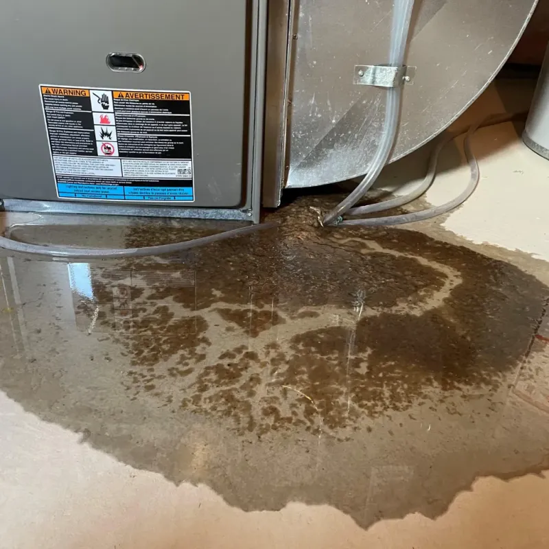 Appliance Leak Cleanup in Grant County, ND